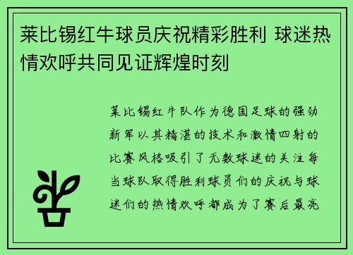 莱比锡红牛球员庆祝精彩胜利 球迷热情欢呼共同见证辉煌时刻