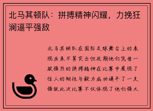 北马其顿队：拼搏精神闪耀，力挽狂澜逼平强敌